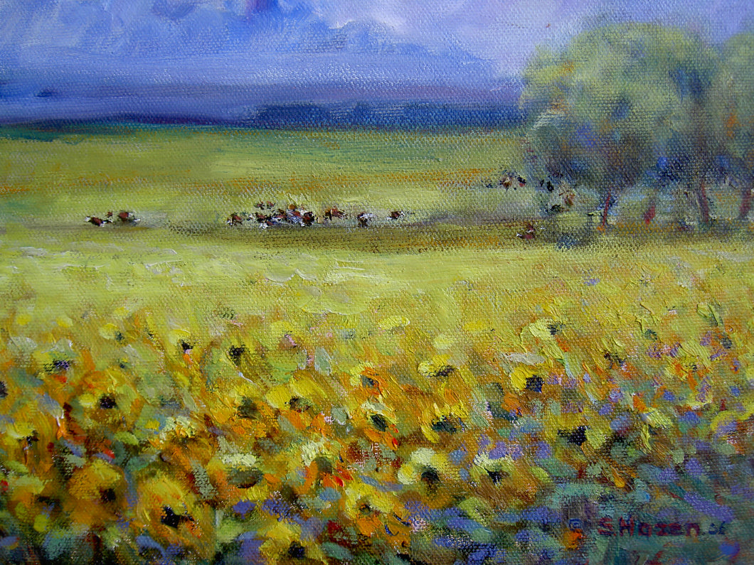 Sunflowers & Herefords
